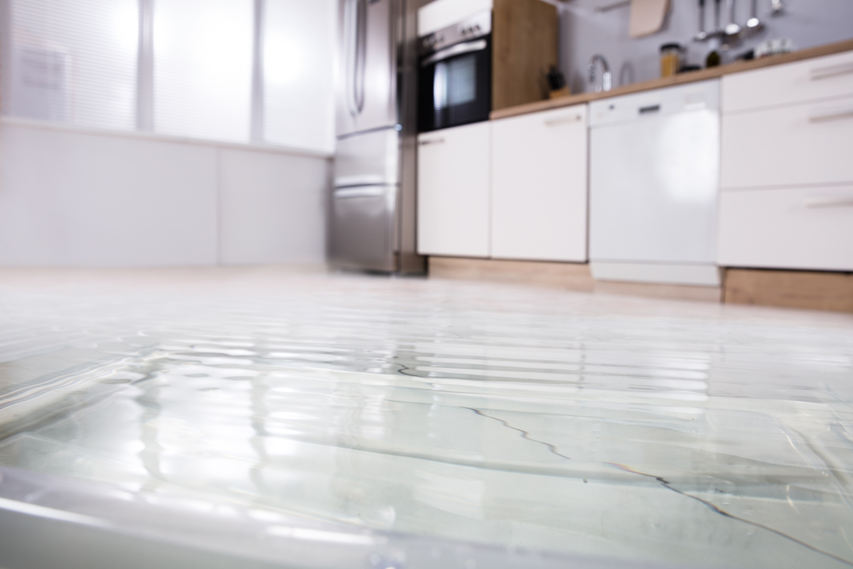 water damage restoration tampa