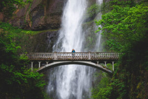 Exclusive Cruise Journeys Designed For Travelers Seeking Authentic Cultural Immersion