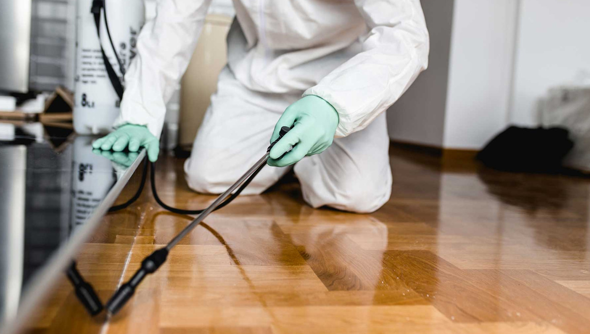 best pest control services